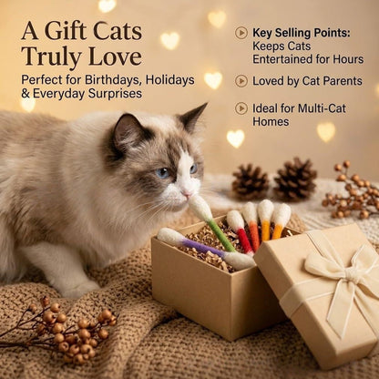 🐾Giant catnip toy with cotton swab (15 cm) – Handmade, durable, safe and fun.